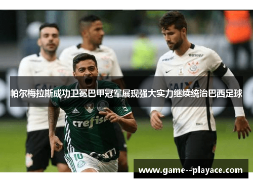 帕尔梅拉斯成功卫冕巴甲冠军展现强大实力继续统治巴西足球
